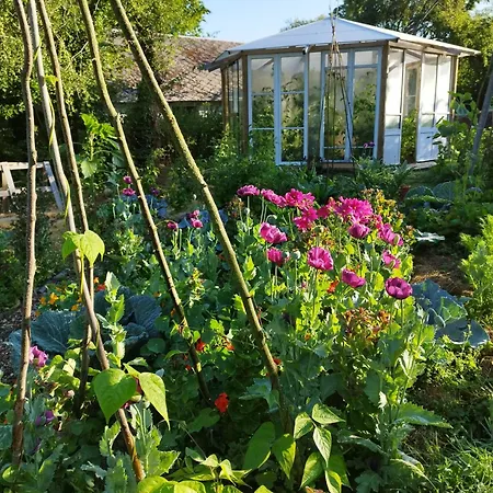 Gît' âne Evasion Maison d'hôtes